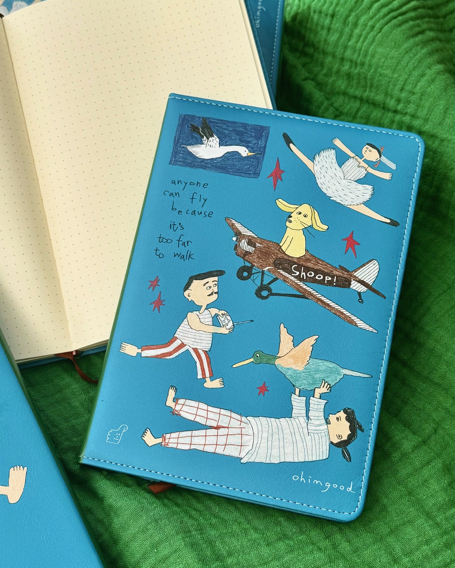 ‘Anyone can fly’ Cushion Cover Notebook